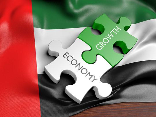 Rephrase the title:UAE defies global FDI decline with a 28% increase in investments